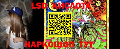 гашик Кунгур