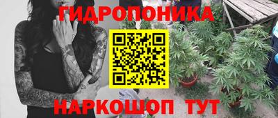 гашик Кунгур