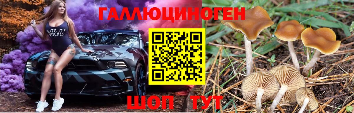Волжск  Псилоцибиновые грибы Cubensis  Вход с VPN 